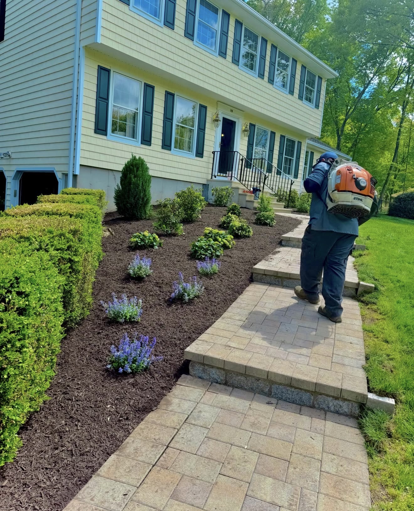 Foundation Planting Installation in Shelton, CT